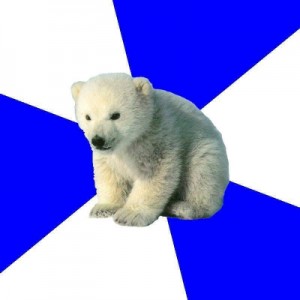 Create meme: bear, polar bear, bear cub