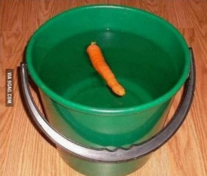 Создать мем: морковь, картинки отдам снеговика бу, Посуда