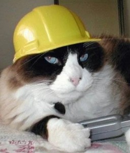 Создать мем: кот, кот в костюме строителя, котик проектировщик