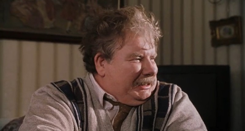 Create meme: Albus Dumbledore , fine day sunday harry potter, Vernon Dursley