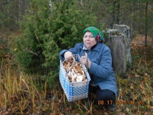 Создать мем: в лесу, В лесу