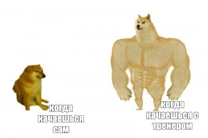 Создать мем: собака качок мем, собака с мускулами мем, накаченная собака мем