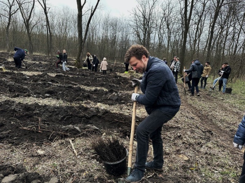 Создать мем: лесовосстановление, чистый город прохоровка, посадка леса