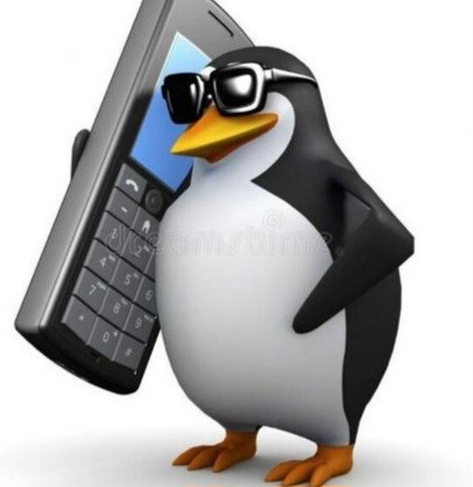 Create meme: memasuki funny, the penguin meme, penguin with phone meme