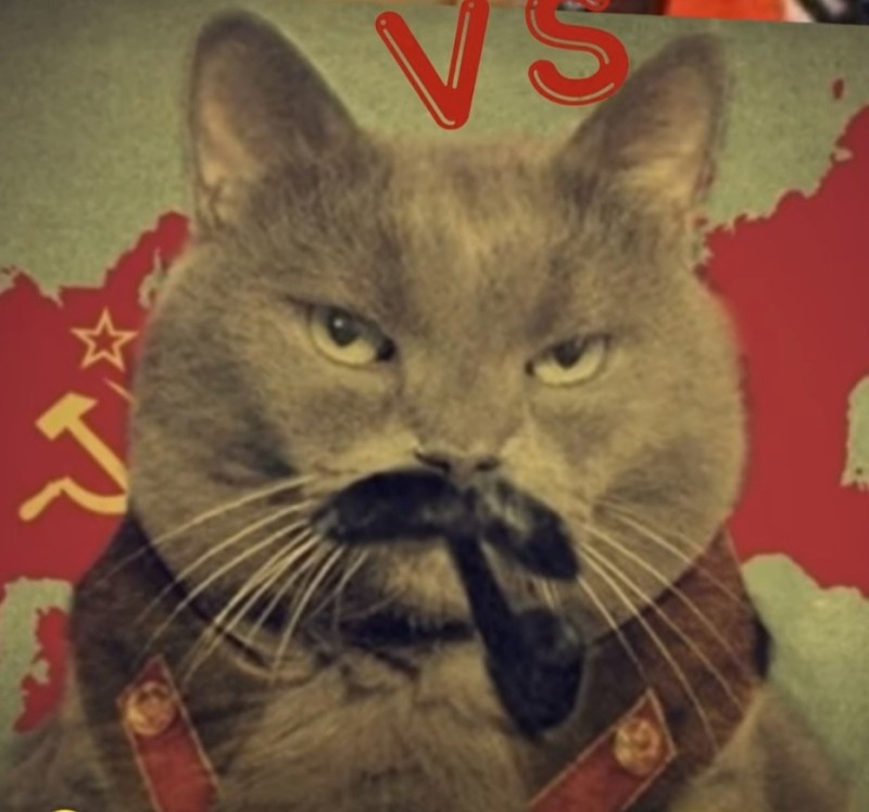 Создать мем: мемы с котами сталин, кот, кошка ussr