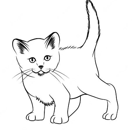 Создать мем: кошка рисунок, раскраска кошка, кошка для детей раскраска