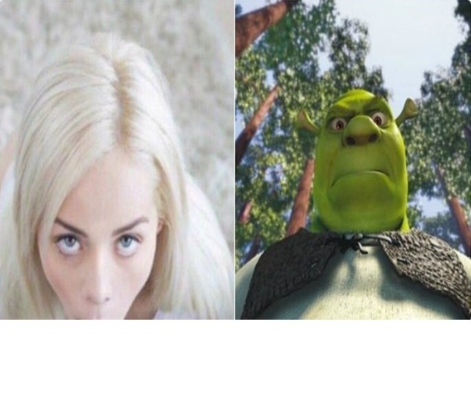 Create meme: meme Shrek , Elsa Jean meme original, Elsa Jean meme