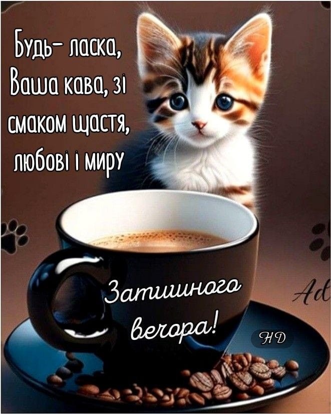 Создать мем: с добрым утром и хорошим днём, с добрым утром, доброе утро кот