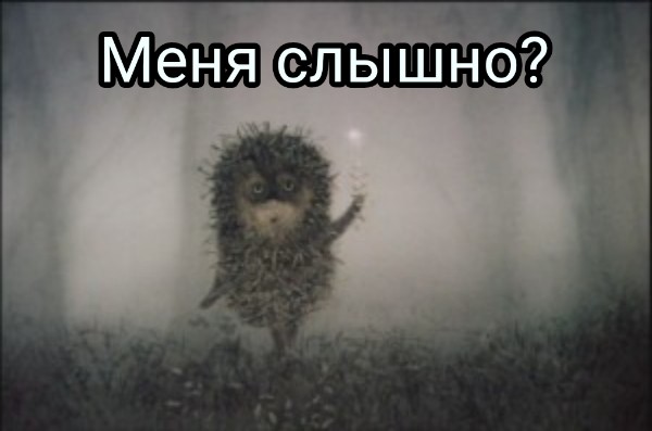 Create meme: hedgehog in the fog, Norstein hedgehog in the fog, hedgehog in the fog meme