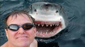 Create meme: great white shark, shark man, shark killer