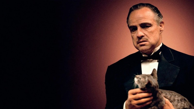 Create meme: Marlon Brando the godfather, marlon brando don corleone, don corleone with a cat