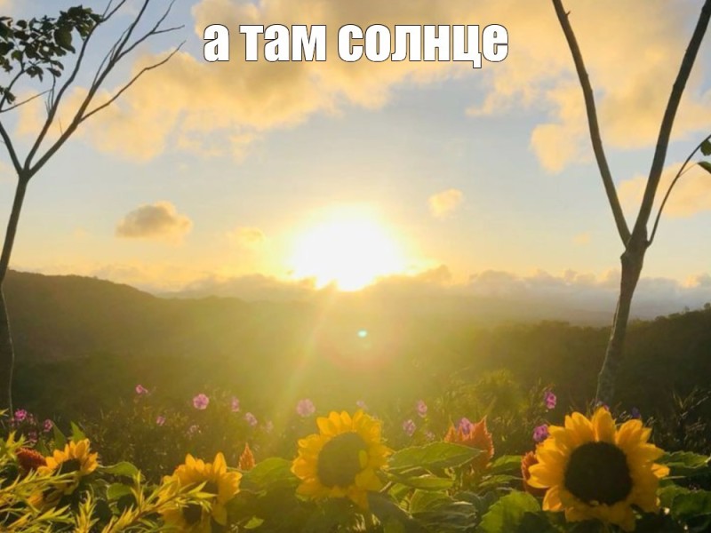 Создать мем: природа, природа солнце, летнее солнце