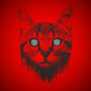 Create meme: Red cat