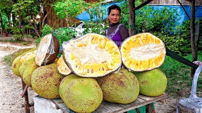 Создать мем: самый большой фрукт, джекфрут (индийское хлебное дерево), вьетнамский фрукт джекфрут