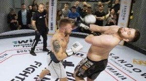 Создать мем: fight uk mma, смешанные единоборства, бои без правил