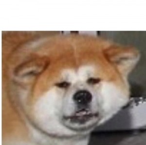 Create meme: thick Akita inu meme, meme Akita inu wooden dog, akita inu funny meme
