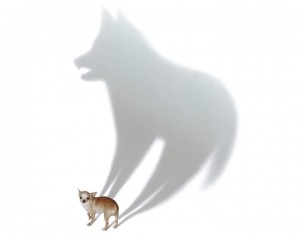 Создать мем: art fox, fox dog, волк размытый мем
