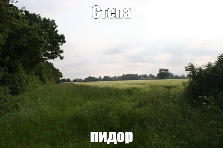 Создать мем: null