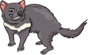 Создать мем: сумчатый дьявол, related keywords, tasmanian devil