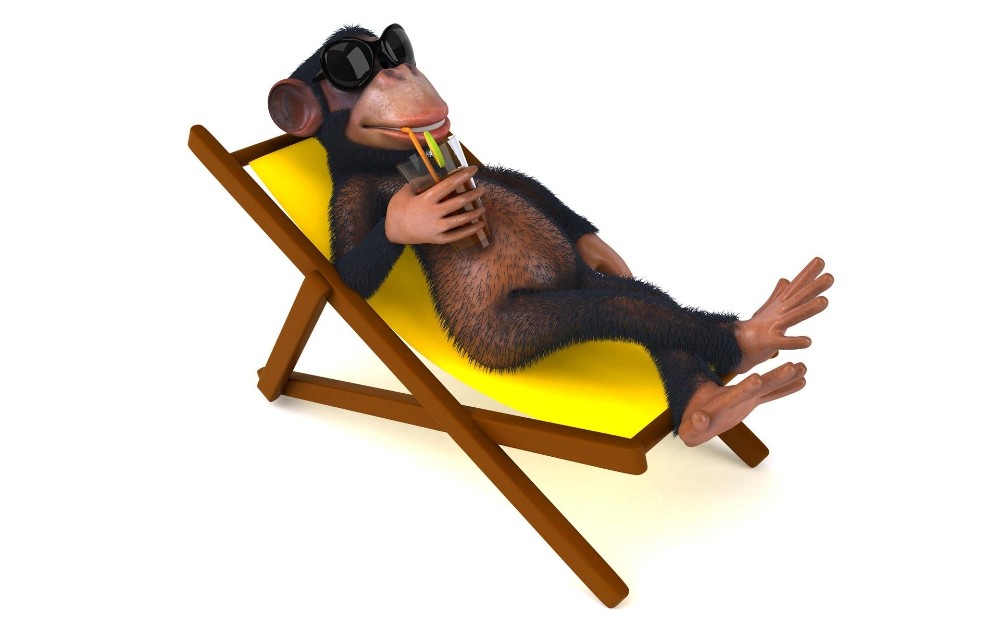 Создать мем: обезьяна в кресле, обезьяна на шезлонге, веселая обезьяна