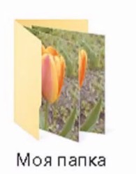 Create meme: folders, folder icon, tulip luba