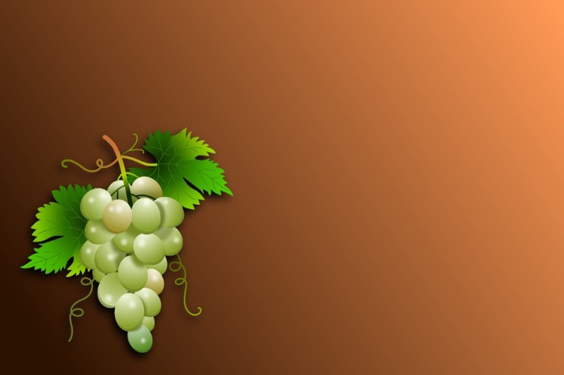 Создать мем: сочный виноград, виноградный лист, виноград фон