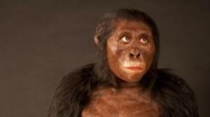Создать мем: предки человека, неоген человекоподобные обезьны, homo floresiensis