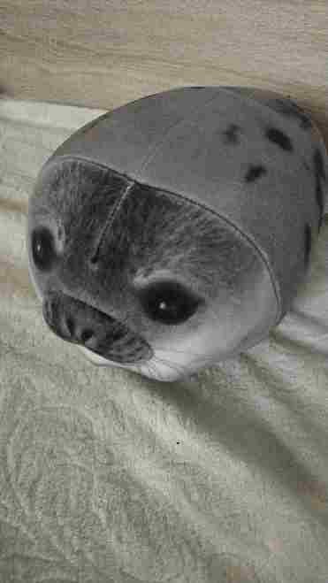 Create meme: turanchik, seal soft toy, grey seal