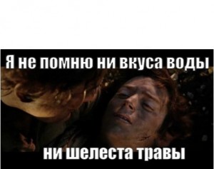 Create meme: Frodo Baggins, the Lord of the rings, the Lord of the rings Frodo