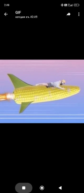 Создать мем: смешная кукуруза, вареная кукуруза, кукуруза на белом фоне