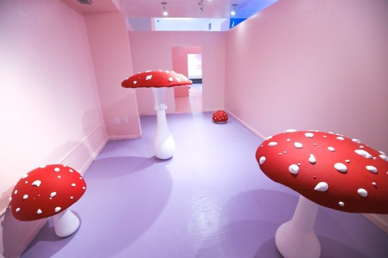 Create meme: dreamcore dreamcore, the mushroom room, background dream