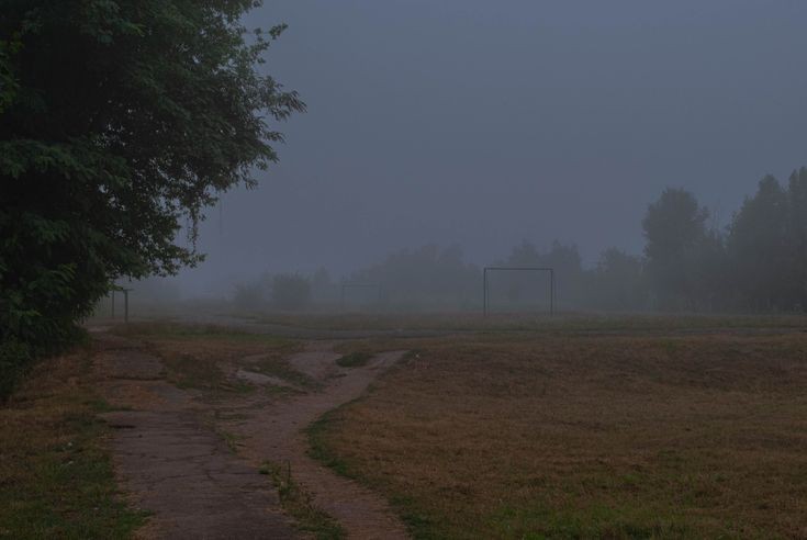 Создать мем: осень туман, туманный утро одиночество, природа