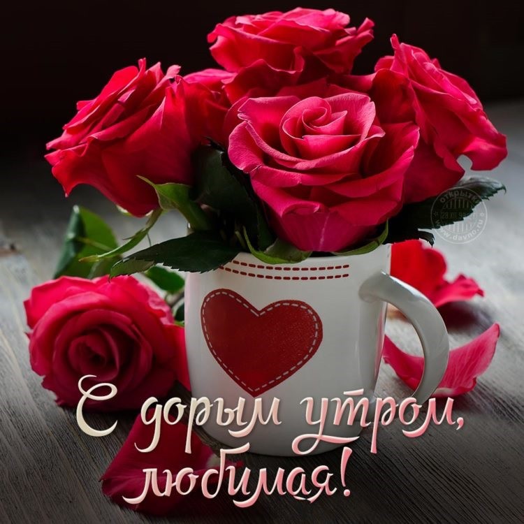 Create meme: good morning favorite, cards, good morning darling, My love, good morning