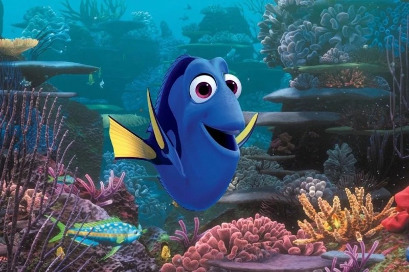 Create meme: fish Dori from Nemo, in search of nemo, fish Dori