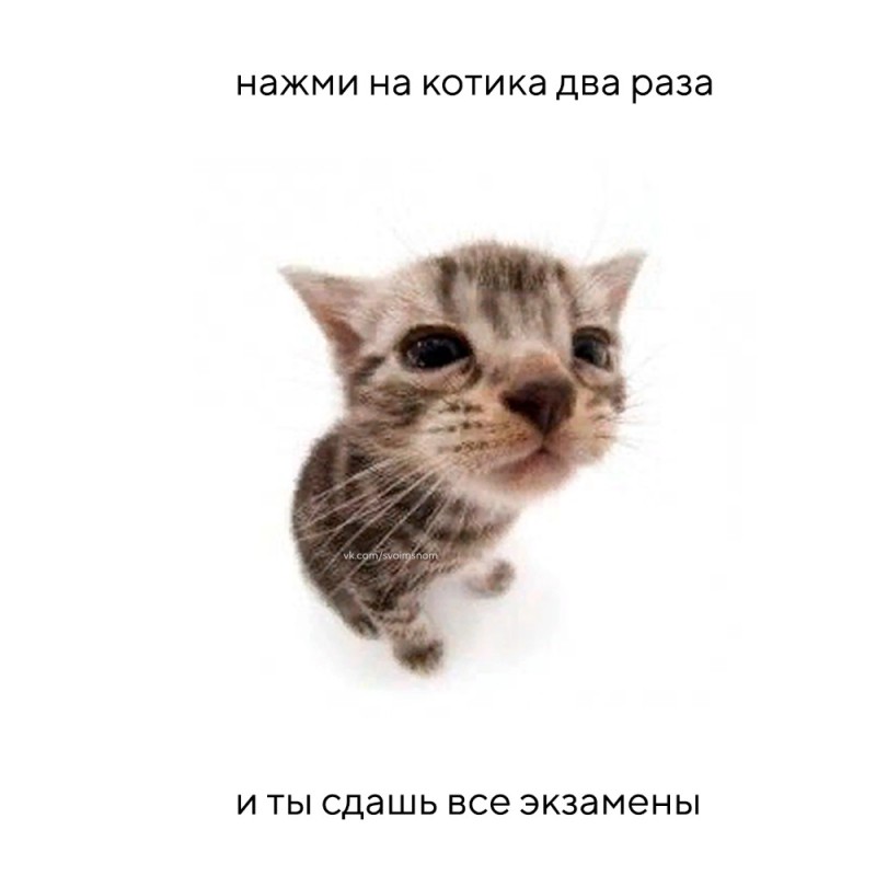 Создать мем: грустный котенок, кот кот, коты