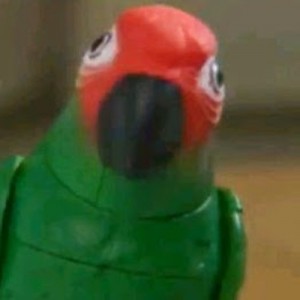 Создать мем: говорящие попугаи, игрушка говорящий попугай, говорящий попугай