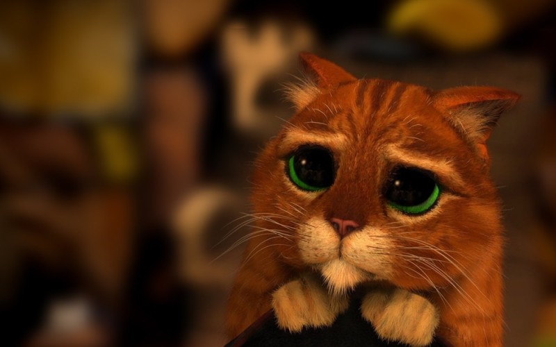 Create meme: The cat from Shrek eyes, cat Shrek eyes, Shrek cat