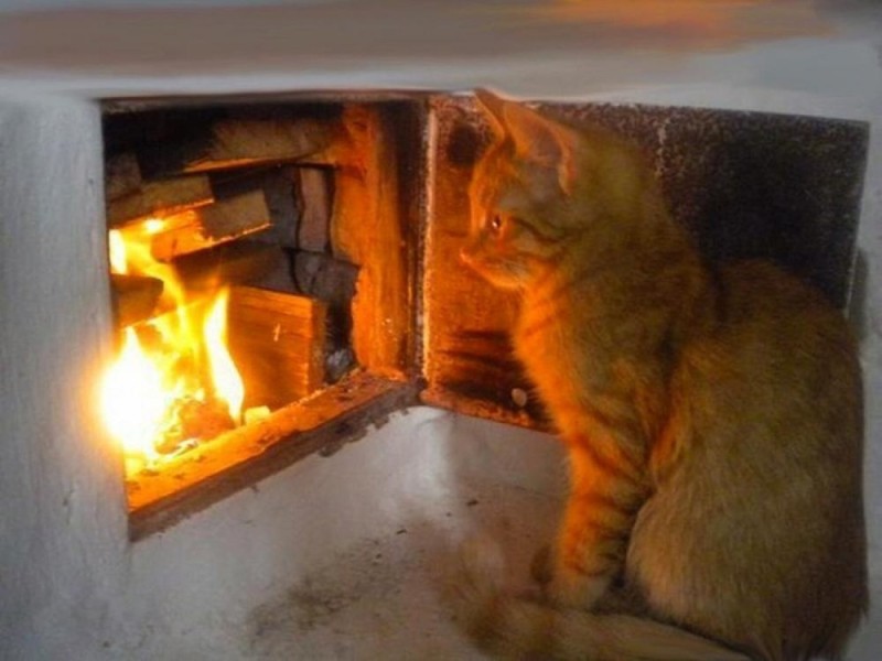 Create meme: the cat on the stove, heat stove, the furnace is being heated