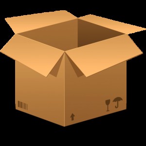 Create meme: cardboard box, Quadaras