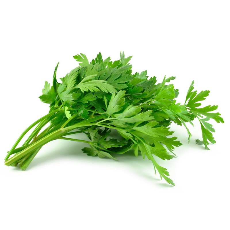 Create meme: parsley leaf, parsley greens, cilantro