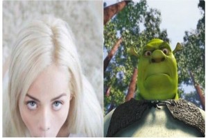 Create meme: she sees meme, what do you see what she sees meme, Shrek