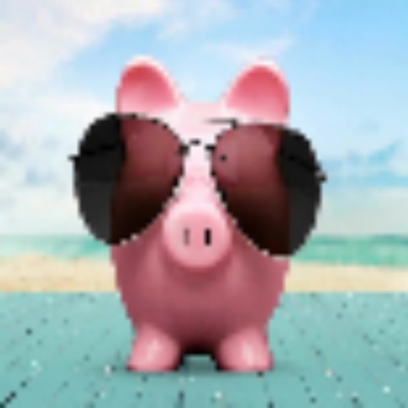 Создать мем: свинья с очками, свинка в очках, свинья в солнечных очках