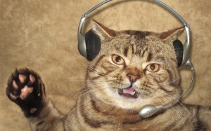 Create meme: cat with headphones with microphone, solid cat, cat with headphones photos