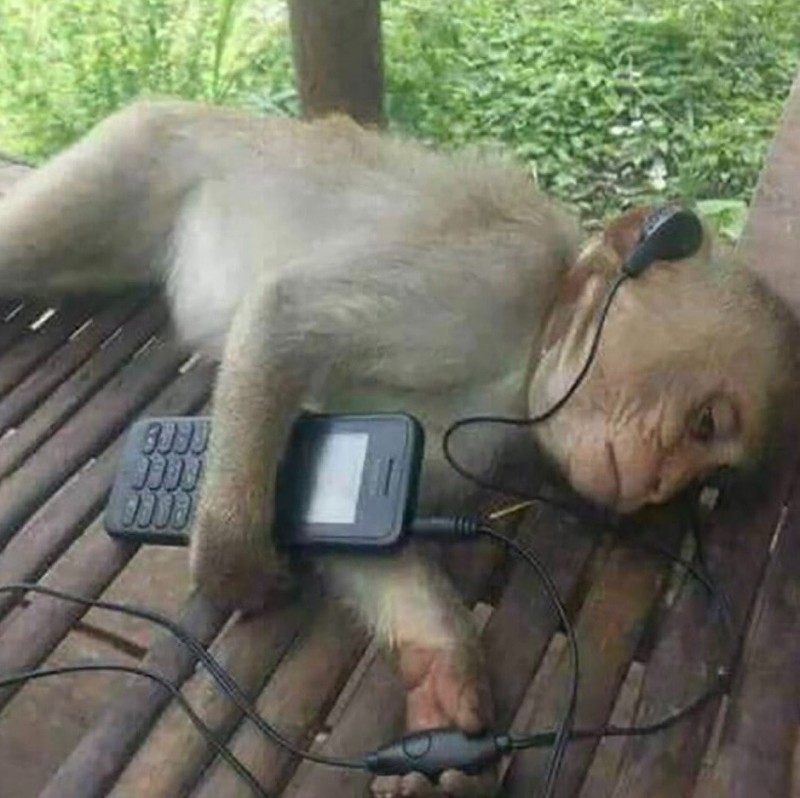 Create meme: sad monkey in headphones, monkey with headphones, monkey with headphones meme