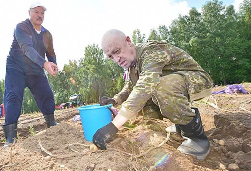 Create meme: Nikolay Lukashenko digs potatoes, Alexander Grigoryevich Lukashenko digs potatoes, Alexander lukashenko digs potatoes