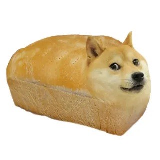 Create meme: shiba inu doge, doge bread, meme doge 