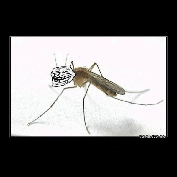 Создать мем: комар обыкновенный, средство от комаров и мошек, комар мем
