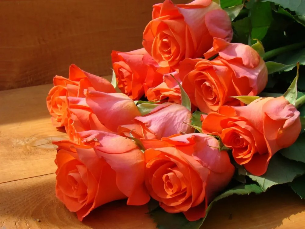 Создать мем: красивая роза, розы цветы букеты, красивые цветы для анечки