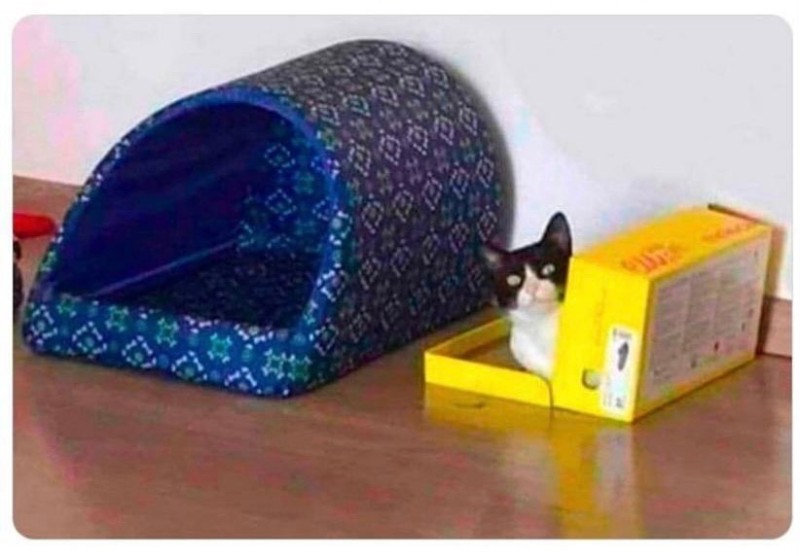 Create meme: a tunnel bed for dogs, house tunnel for cats, a cat house