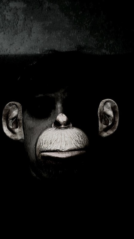 Создать мем: обои на айфон обезьяны, обезьяна человек, черная обезьяна книга